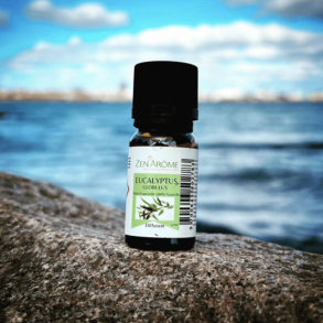 Eucalyptus - terisk olie