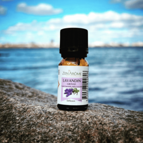 Lavandin Grosso - terisk olie