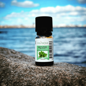 Arvensis Mint - �terisk olie